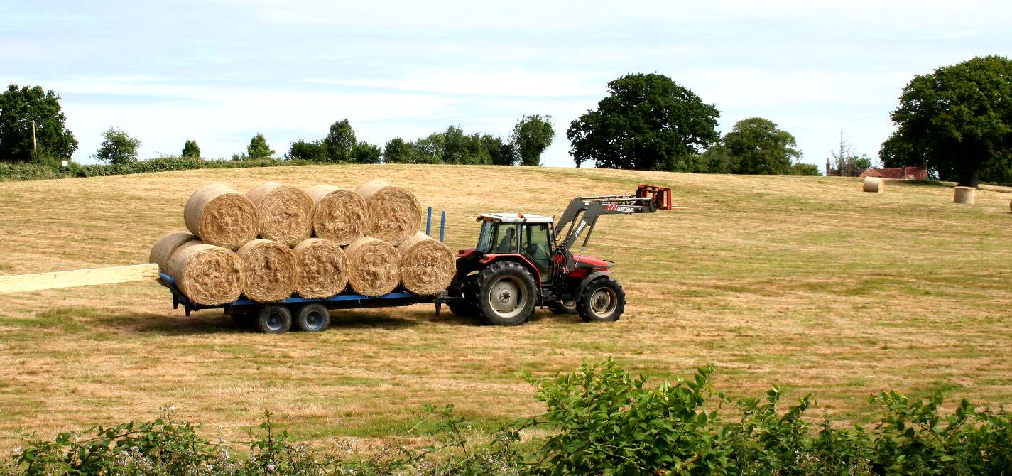 Sussex farming, making hay while the sun shines