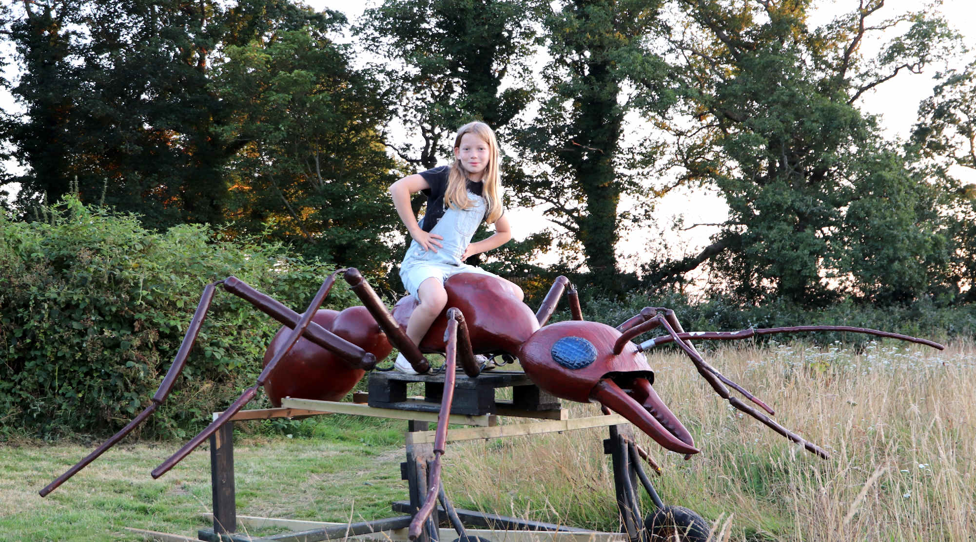 Is this the world's largest insect? Anthony is a giant Bulldog ant from Australia, seen here being ridden by Miss Ocean, one of the youngest conservation volunteers in East Sussex.